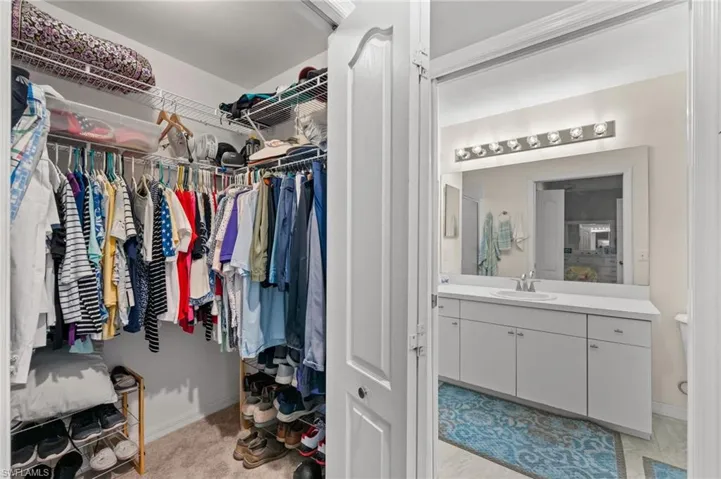 Walk-in closet with wire shelving and carpet flooring