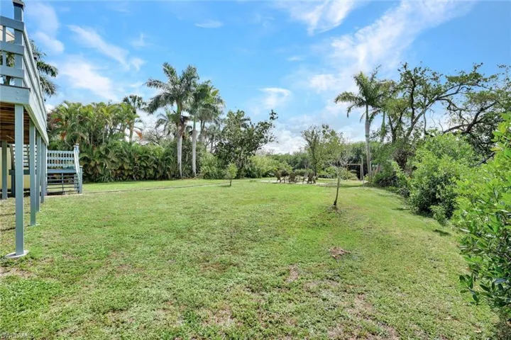View of grassy yard