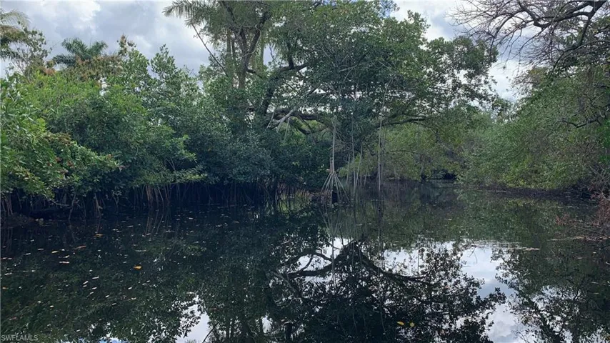 View of local wilderness