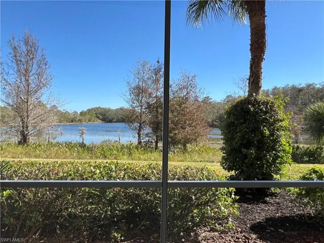 View from inside lanai looking east towards a mile long lake...no houses, no golf carts, just wading birds and serenity.