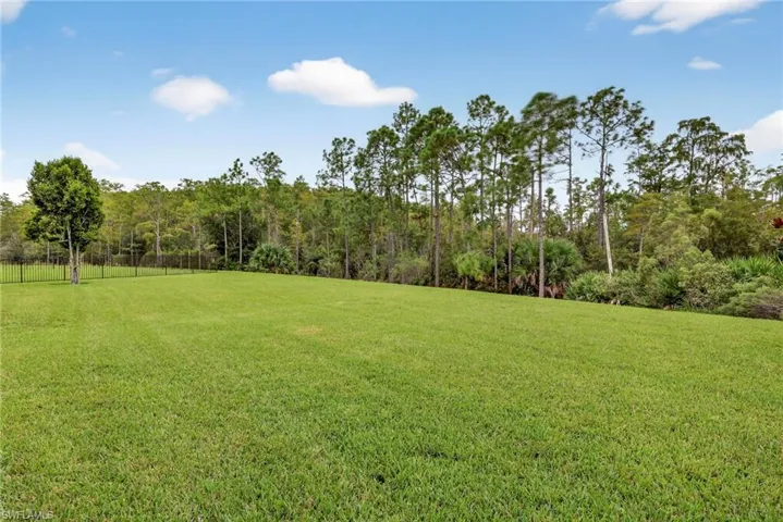 View of grassy yard