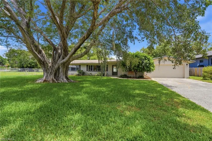 Expansive front yard featuring a large mature tree with aerial roots, a manicured lawn, a paved driveway, a single-story residence with a light-colored exterior, and an integrated garage