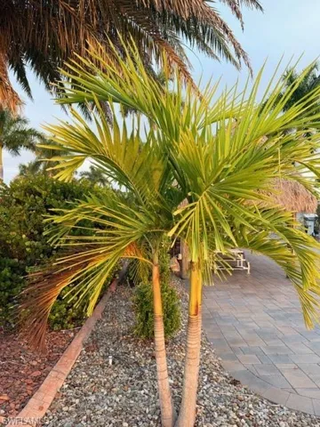 5309 Cypress Trail Resort Cir, Fort Myers, Florida 33905