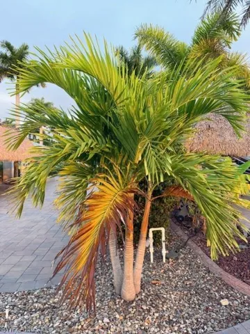 5309 Cypress Trail Resort Cir, Fort Myers, Florida 33905