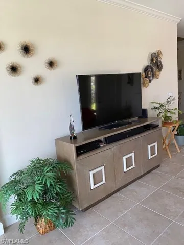 TV and console