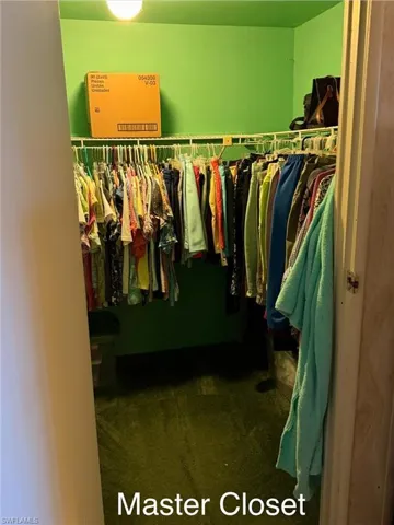 Walk in closet with dark carpet