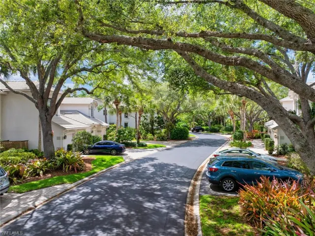 View of tree-lines street