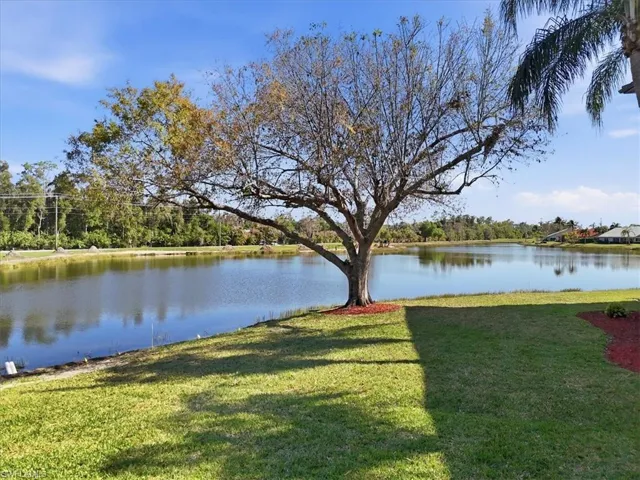 Water view