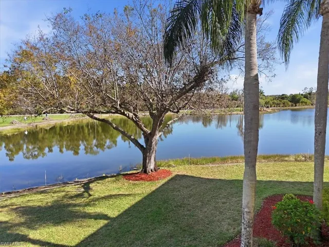 Water view