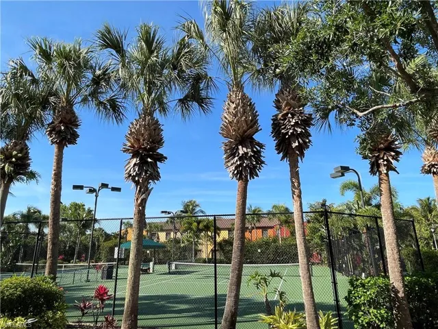 Tennis court