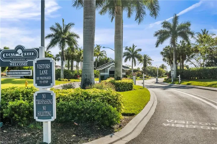View of asphalt road with curbs and street lights