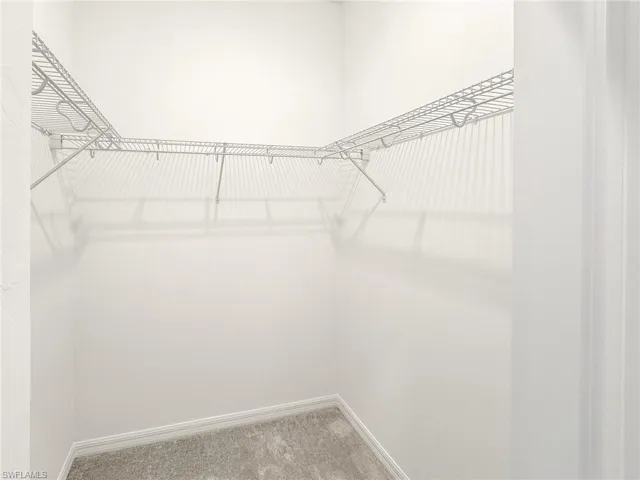 Spacious closet with carpet