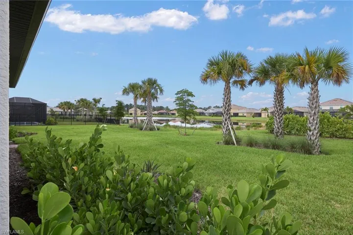 Backyard view