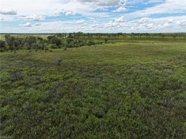 0 County Line Rd E, Fort Meade, Florida 33841