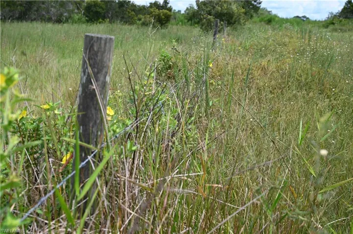 0 County Line Rd E, Fort Meade, Florida 33841