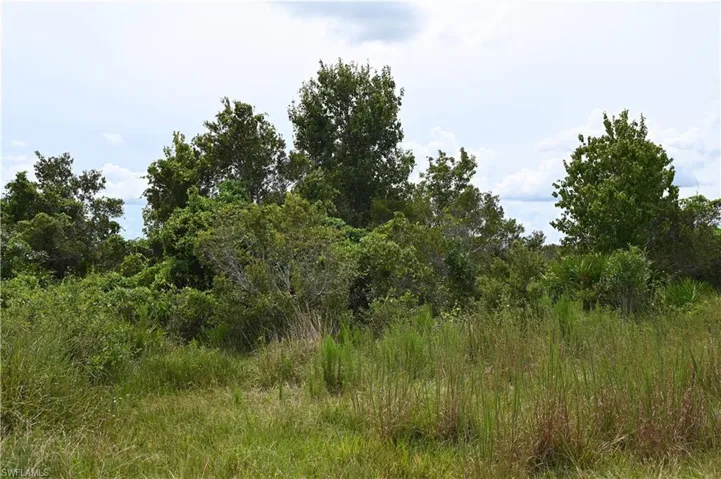 0 County Line Rd E, Fort Meade, Florida 33841