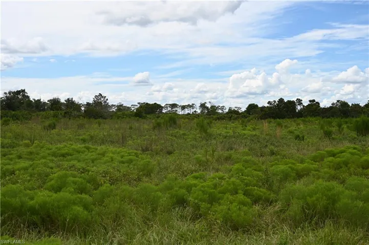 0 County Line Rd E, Fort Meade, Florida 33841