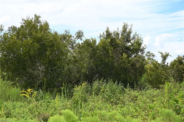 0 County Line Rd E, Fort Meade, Florida 33841