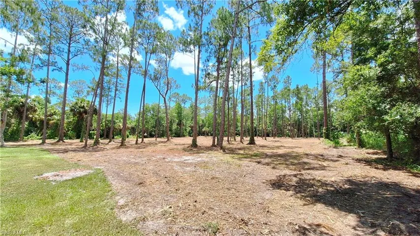 View of wooded area