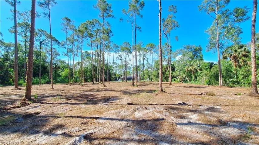 View of undeveloped land