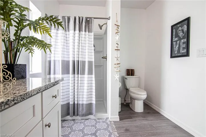 BATHROOM - MAIN BATHROOM.WALK-IN SHOWER, NEW SHAKER CABINETS WITH SOFT CLOSE DOORS, GRANITE COUNTERTOP, NEW TOILET, LUXURY VINYL PLANK FLOORING. NEW LIGHT, NEW MIRROR, LINEN CLOSET.