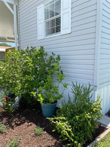 PLANT YOUR OWN PLANTS. HIBISCUS AND OTHER FL LANDSCAPE.