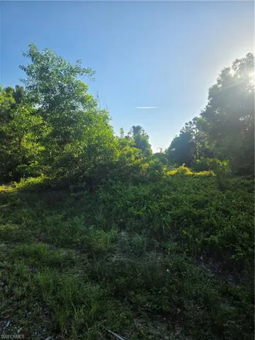 Expansive land parcel featuring natural foliage and mature trees