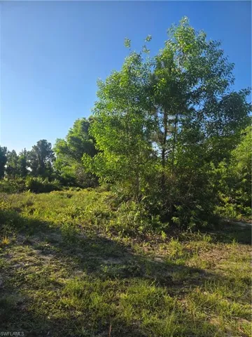 Open lot featuring natural landscaping and mature trees