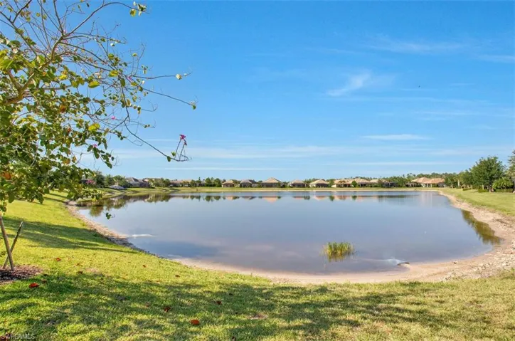 Water View