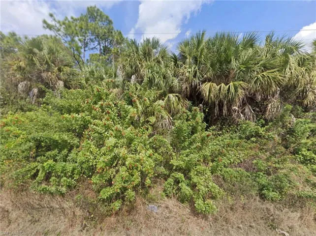 933 Asther St E, Lehigh Acres, Florida 33974