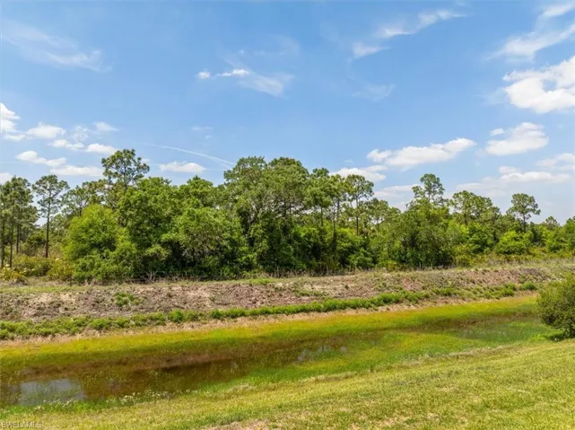 Canal view. This is the dry season, but during the rainy season when more water is in the canal you will see lots of birds, ducks, turtles, and fish that call it home.