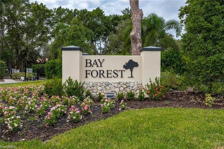 Bay Forest--- Naples Hidden Gem