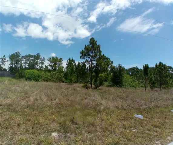 1021 Winters St E, Lehigh Acres, Florida 33974