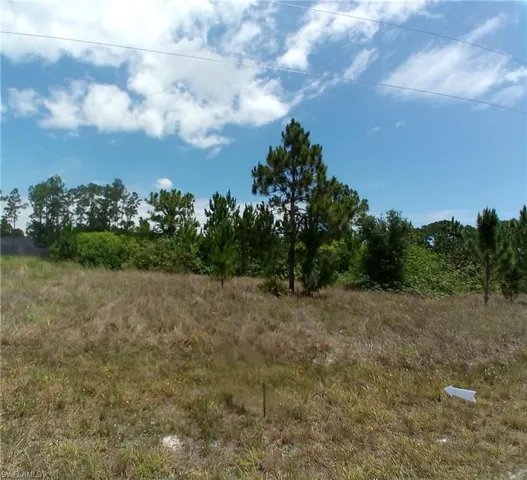 1021 Winters St E, Lehigh Acres, Florida 33974