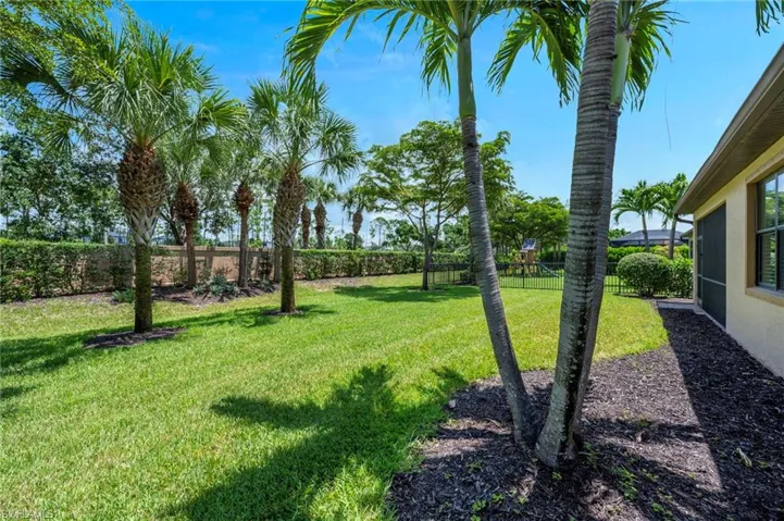 Expansive backyard