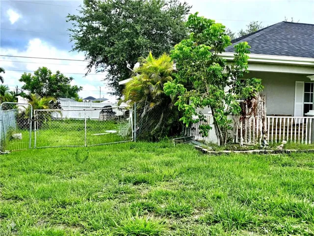 View of yard