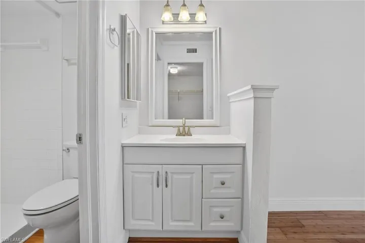 Primary Vanity