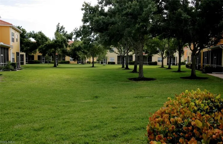 View from patio