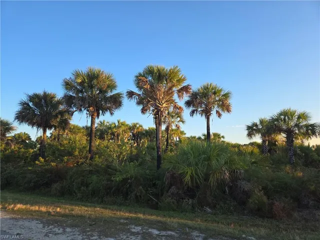 36th SE   AVE, Naples, FL 34117