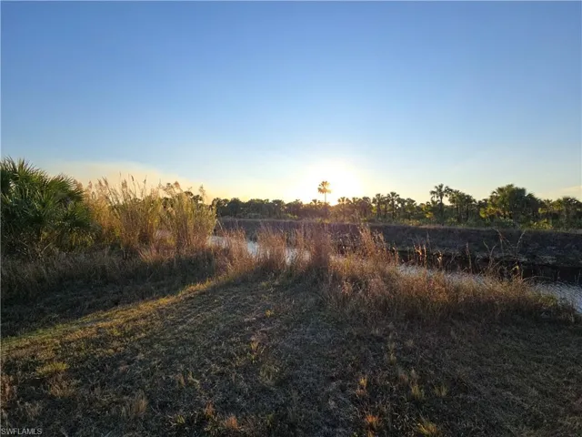 View of nature