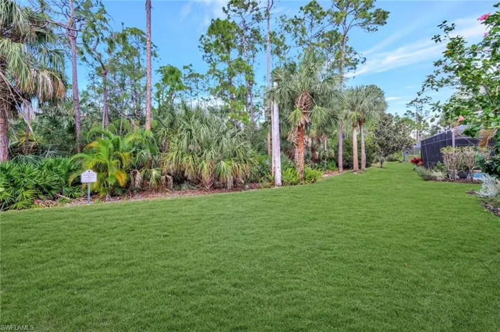 Fantastic side yard