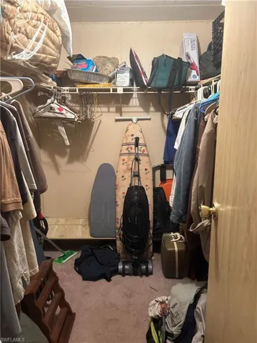 Walk in closet featuring carpet flooring
