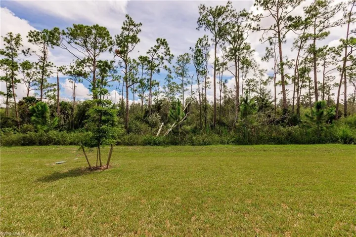 3780  Crosswater  DR, North Fort Myers, FL 33917