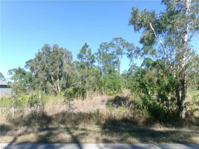 View of local wilderness