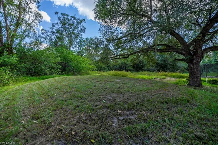 View of yard.