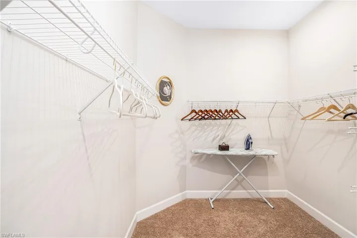 Spacious closet featuring light carpet