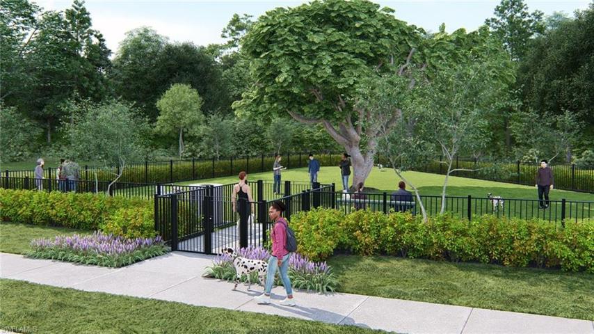 Dog Park Rendering