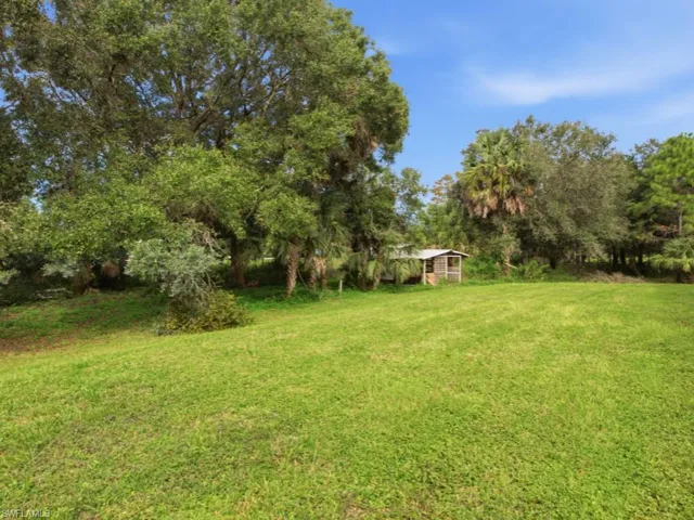 Expansive grass lawn featuring mature oak trees, palm trees, and a detached screened structure