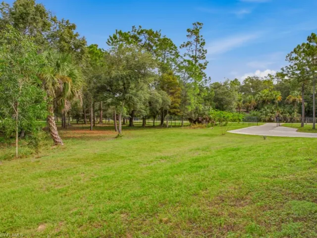 Expansive grass lawn featuring mature trees, native palm specimens, and a paved concrete driveway