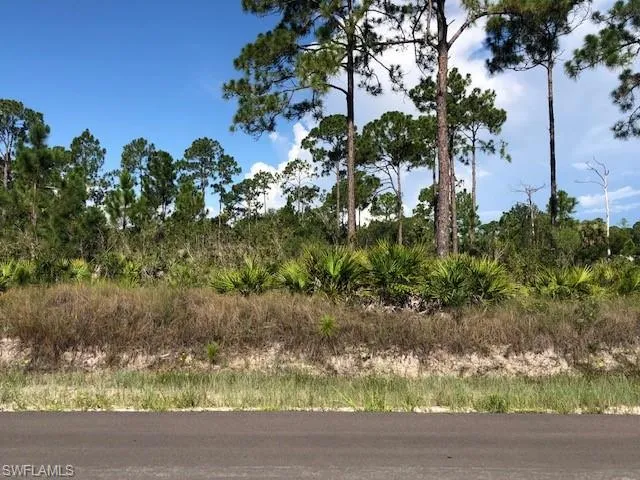 View of nature